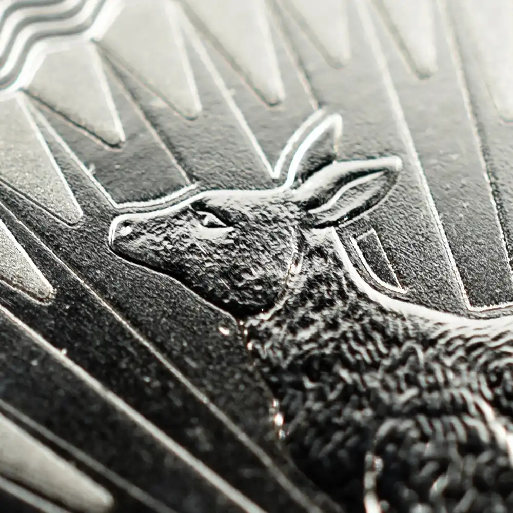 地金型5：2023 オーストラリア 2022 カンガルー 1ドル 1オンス 銀貨 【5枚】 (コインケース付き)