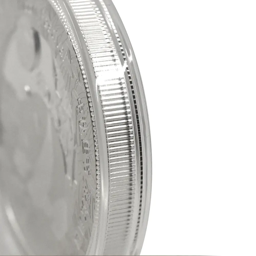 地金型16:6443 中国 2015-2019 パンダ 中秋節 2オンス銀メダル 5枚セット 未鑑定【5枚】 (コインケース付き)