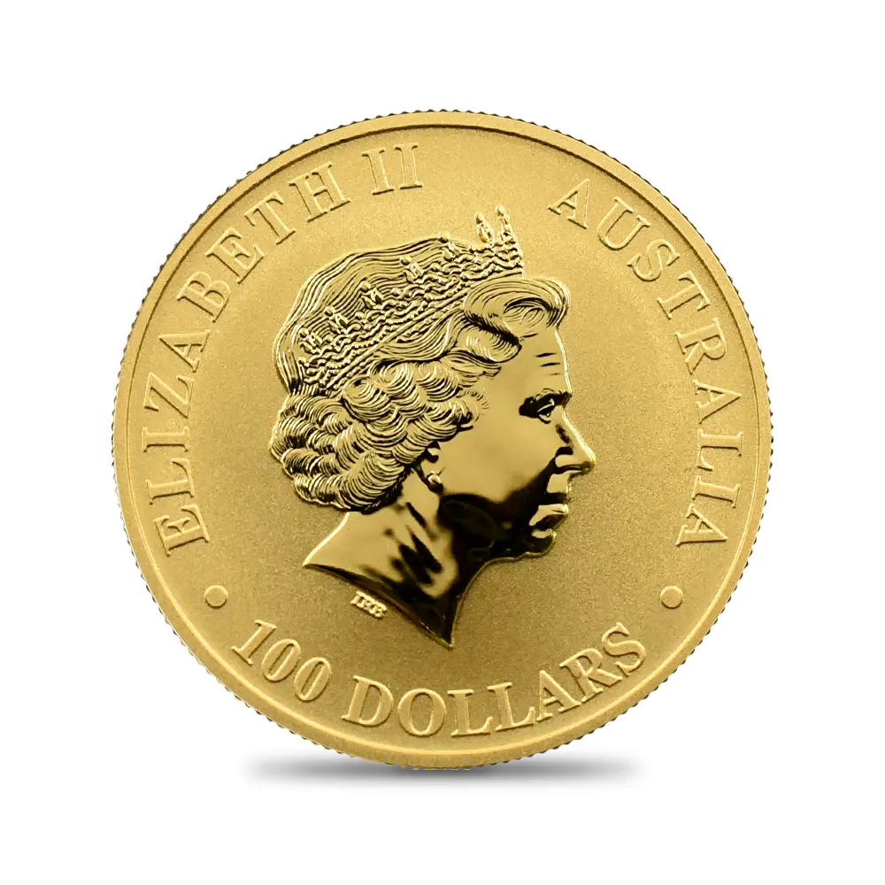 地金型3：6538 オーストラリア 2013 カンガルー 100ドル 1オンス 金貨【1枚】 (コインケース付き)
