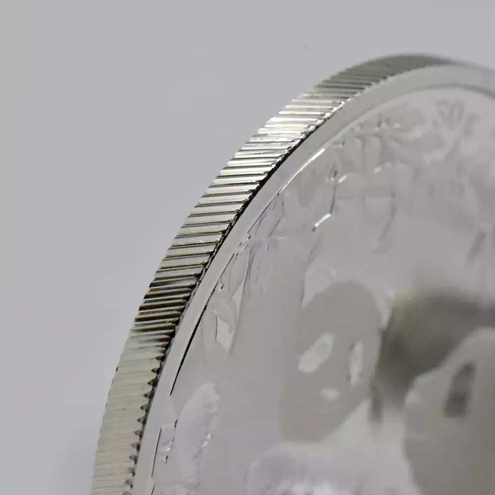 地金型10：2409 中国 2021 パンダ 10元 30g 銀貨 【1枚】 (コインケース付き)