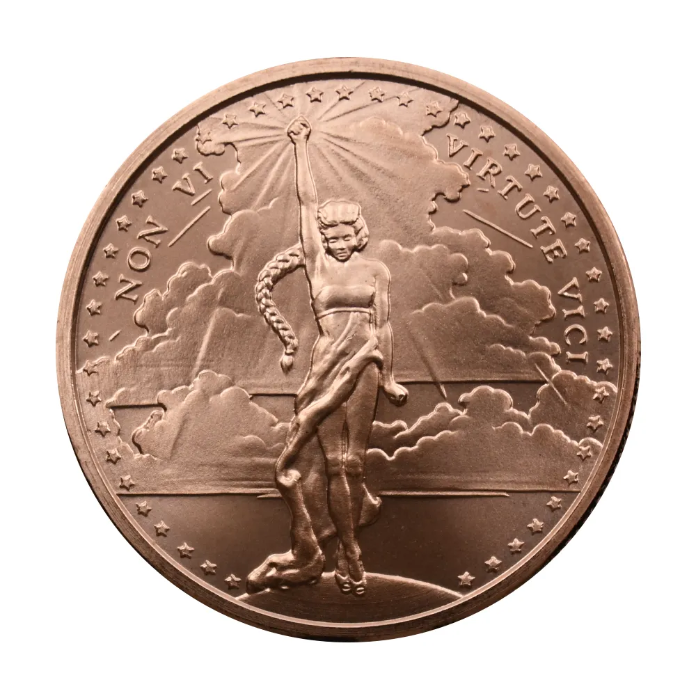 地金型s2：3875 アメリカ 2023 ノン・ヴィ・ウィルトゥーテ・ウィキ 1オンス 銅メダル 【1枚】 (コインケース付き)