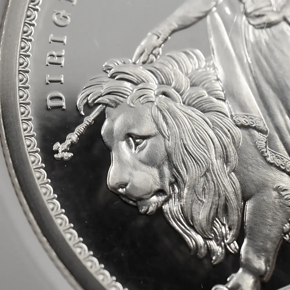 モダンコイン8：6571 2019 エリザベス2世 ウナ＆ライオン 5ポンド2オンス銀貨 NGC PF68UC