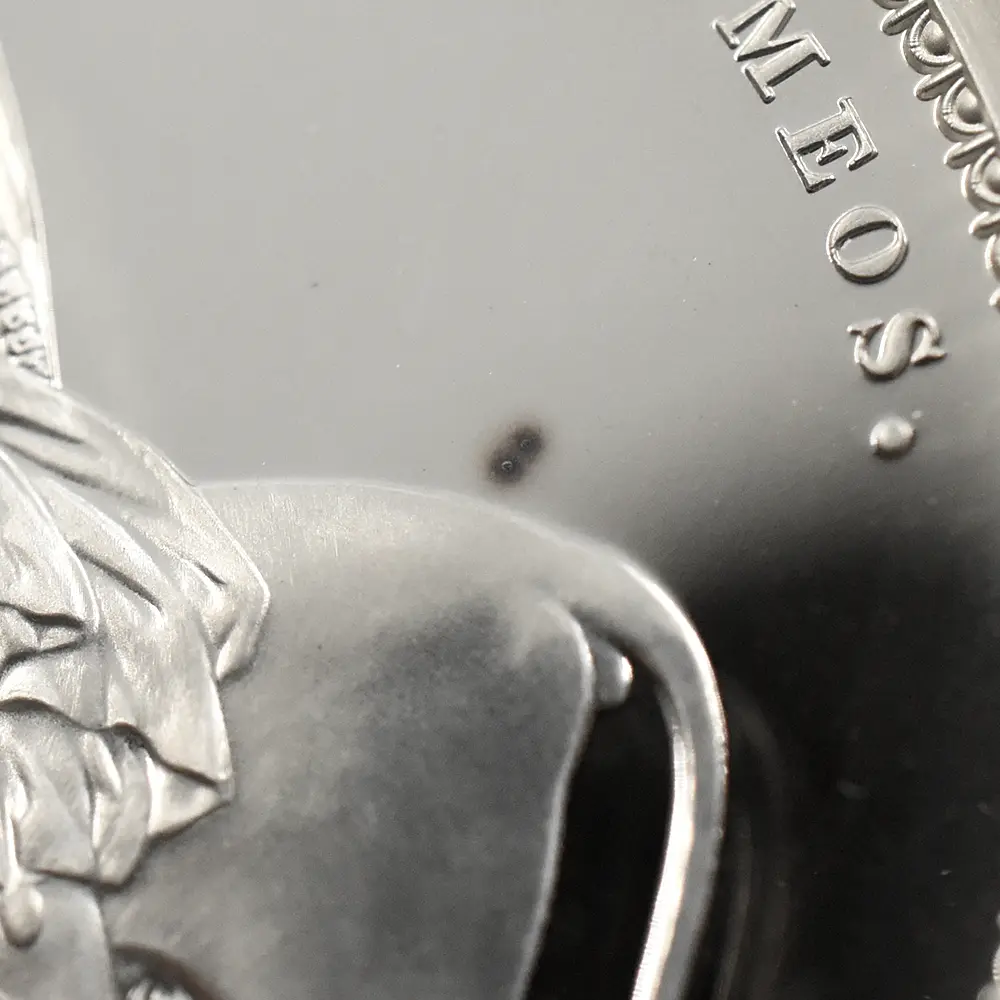 モダンコイン8：6570 2019 エリザベス2世 ウナ＆ライオン 5ポンド2オンス銀貨 NGC PF68UC