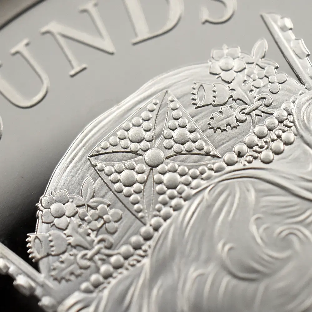 モダンコイン10：6570 2019 エリザベス2世 ウナ＆ライオン 5ポンド2オンス銀貨 NGC PF68UC