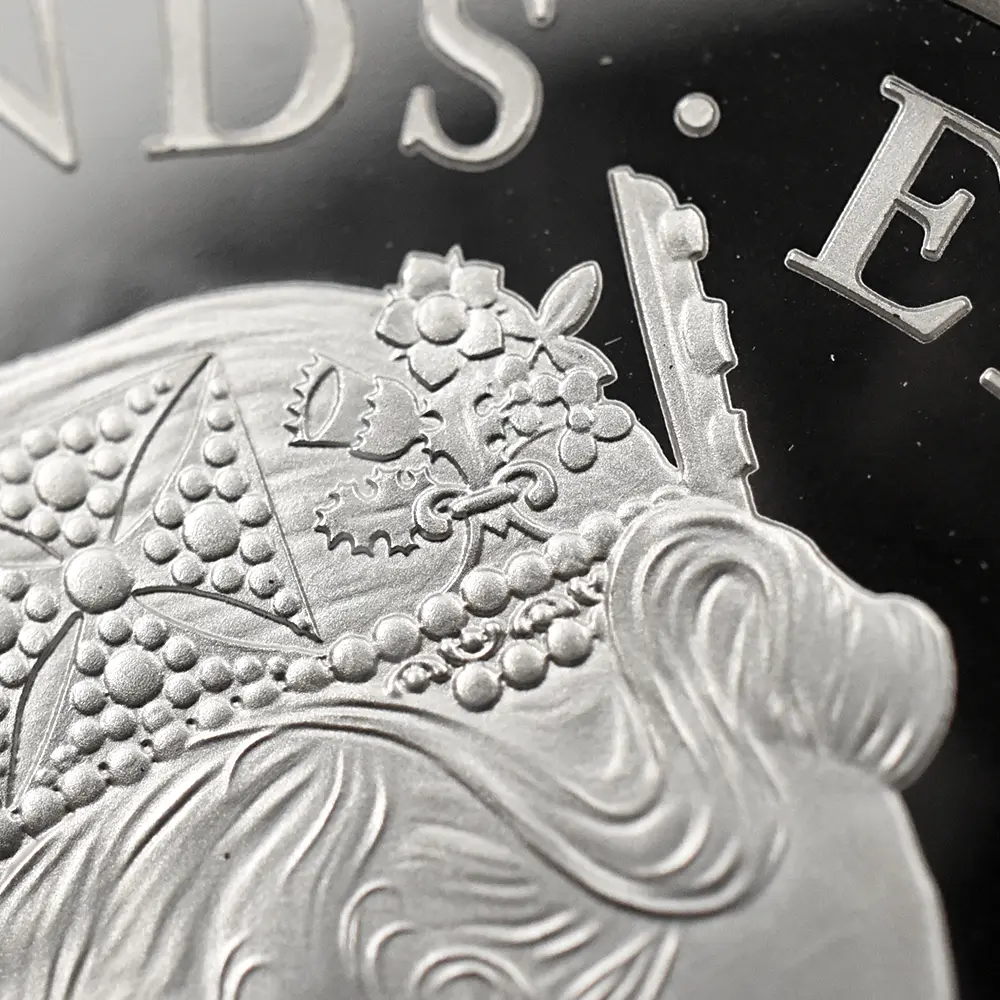 モダンコイン10：6572 2019 エリザベス2世 ウナ＆ライオン 5ポンド2オンス銀貨 NGC PF69UC