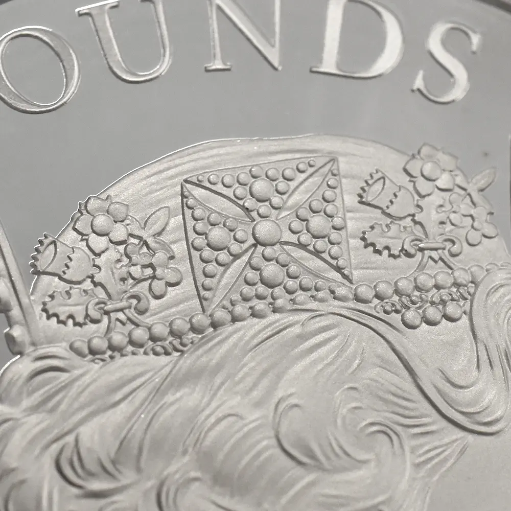 モダンコイン12：6637 2017 エリザベス2世 クイーンズビースト イングランドのライオン 10ポンド10オンス銀貨 ファースト500ストラック NGC PF70UC 箱付き