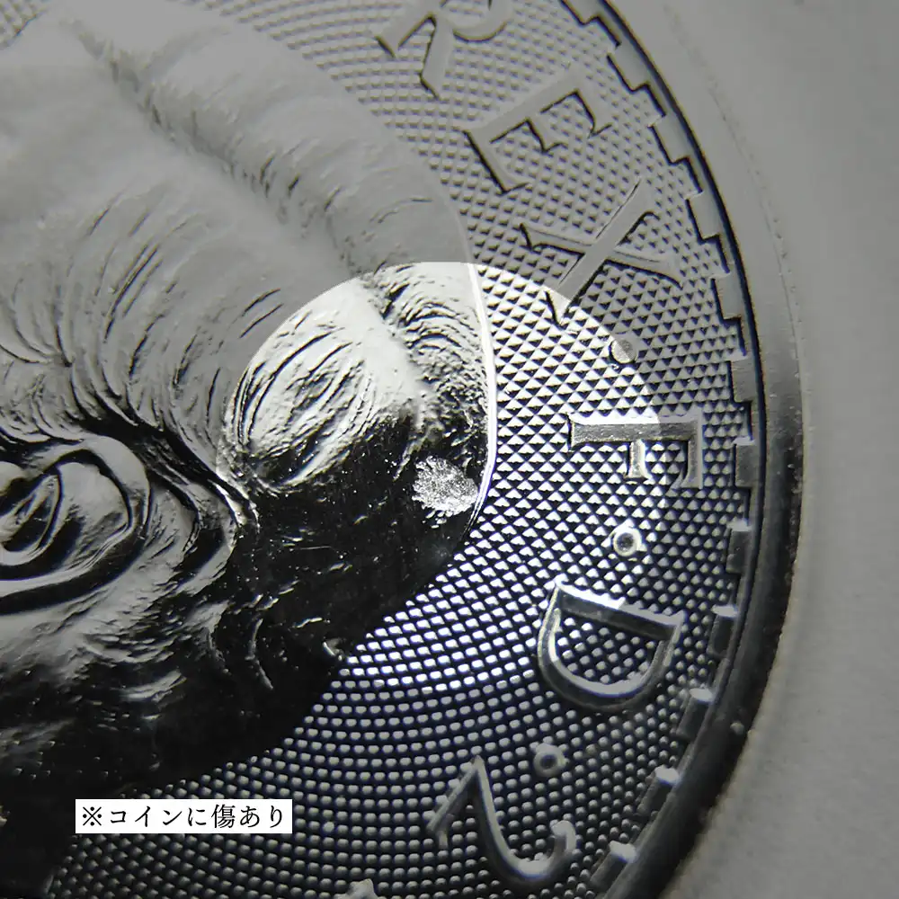 地金型9：6647 【【完売御礼】】★午年開運福袋★ ランダムイヤー ランダムブランド 【訳あり】地金型銀貨・銀メダル【25枚】