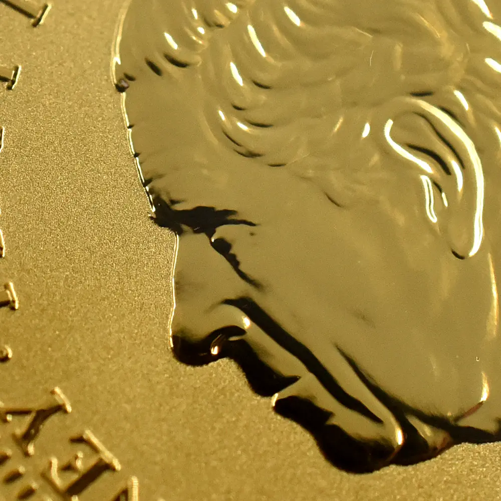 モダンコイン11：6673 オルダニー島 2025 チャールズ3世 ウナ＆ライオン ウルトラハイレリーフ 1/2オンスリバース金貨 発行即日鑑定品 NGC REVERSE PF70 箱付き【ご予約承り品】納期約1~2か月