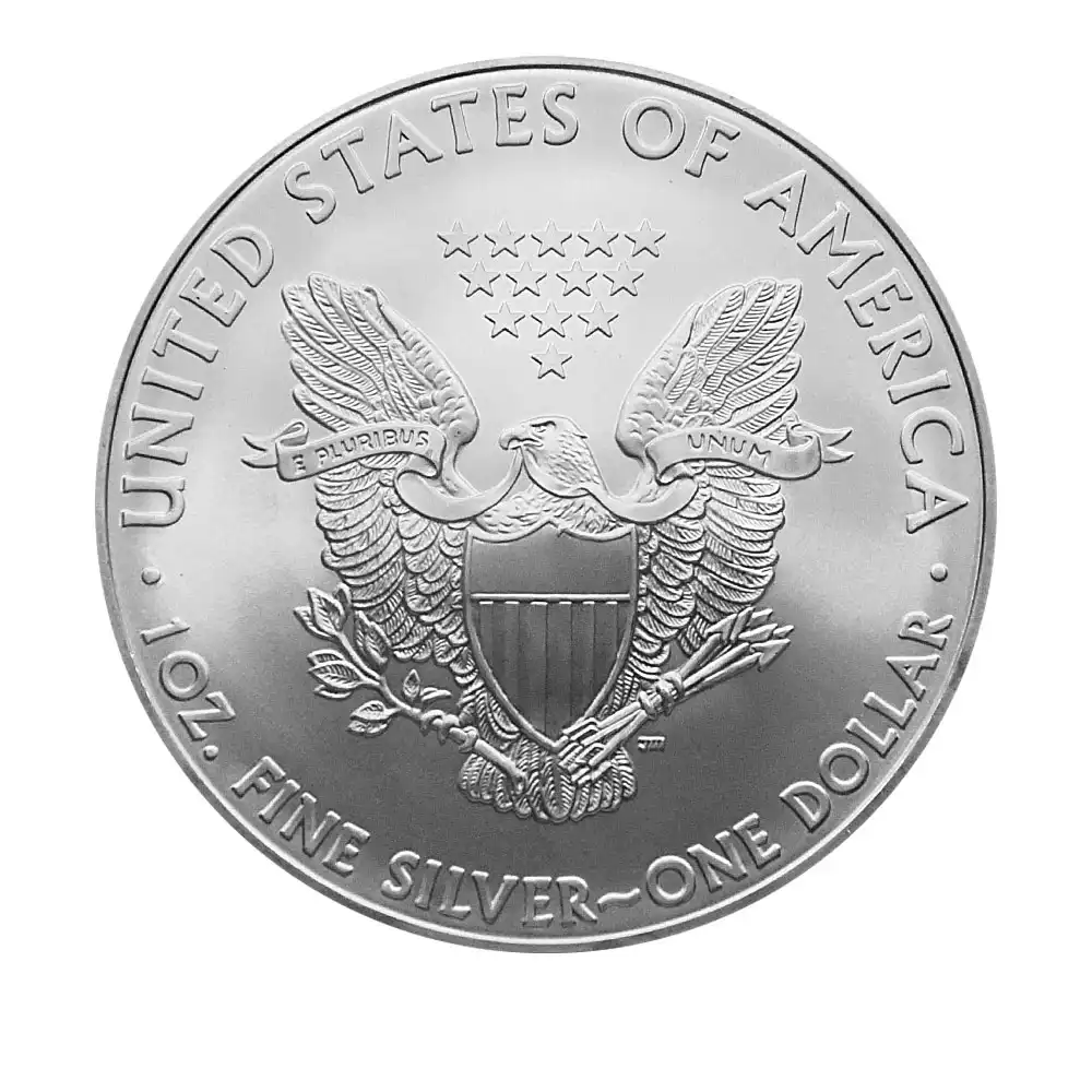 地金型3：2524 アメリカ 2010 イーグル 1ドル 1オンス 銀貨 【1枚】 (コインケース付き)