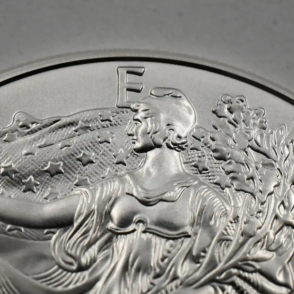 地金型5：2534 アメリカ 2015 イーグル 1ドル 1オンス 銀貨 【1枚】 (コインケース付き)