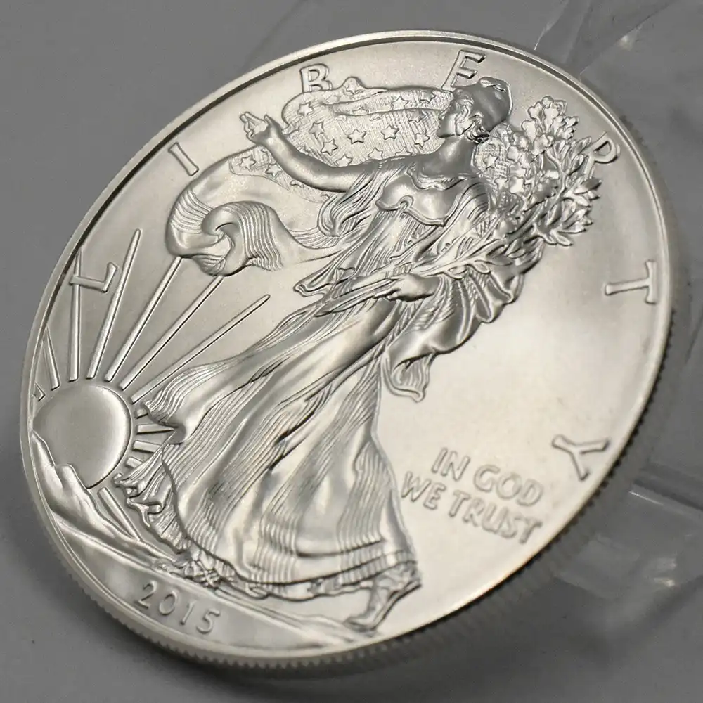 地金型6：2534 アメリカ 2015 イーグル 1ドル 1オンス 銀貨 【1枚】 (コインケース付き)