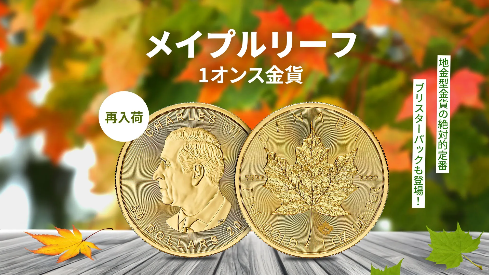 【再入荷】カナダの象徴的地金型コイン メイプルリーフ金貨