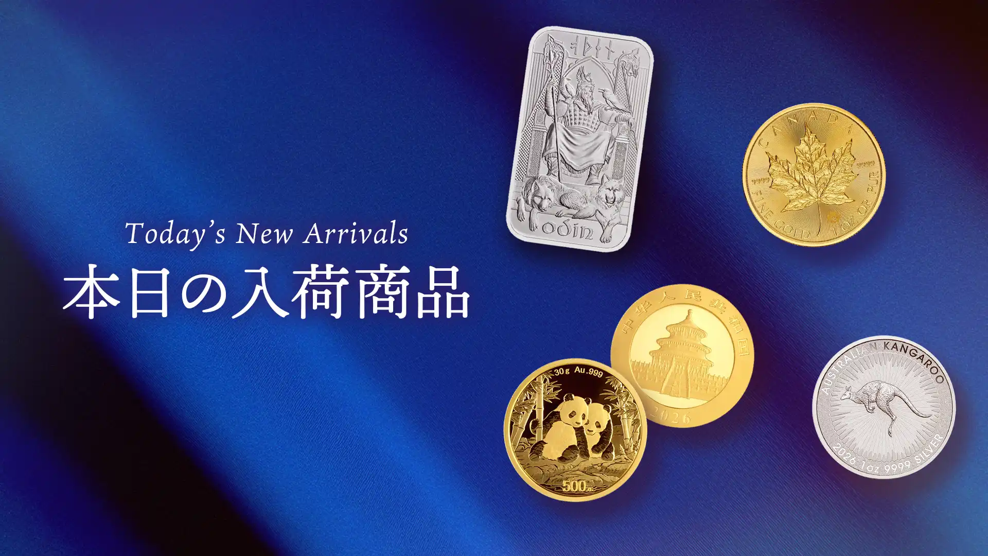 本日の入荷商品のご案内